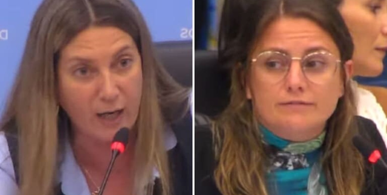 Video: gritos, burlas y corte de micrófono en una fuerte pelea entre dos diputadas nacionales