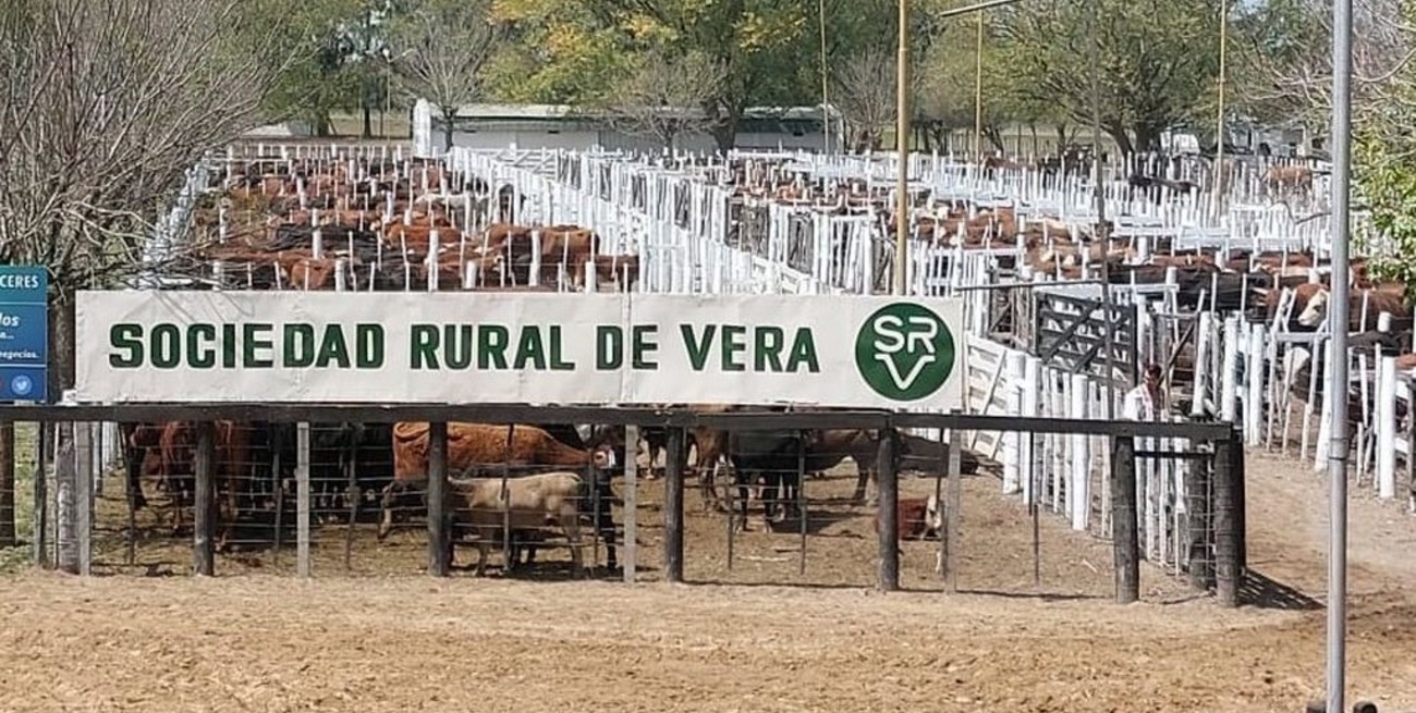 "La gente está disparando, se da cuenta que al errar las lluvias hay que aliviar a la vaca"