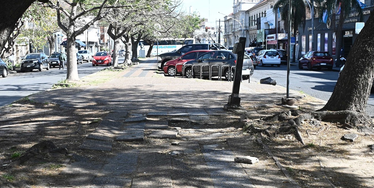 ¿Y si la obra pública la financian las empresas privadas?
