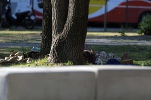 Colchones y otros elementos bajo la sombra  de uno de los tantos árboles que tiene el espacio público. Foto: Manuel Fabatía