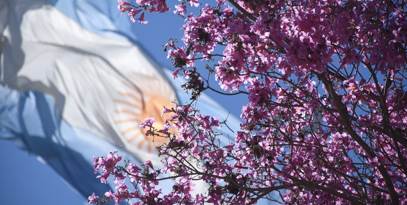 Una ciudad santafesina impulsa un nuevo proyecto forestal
