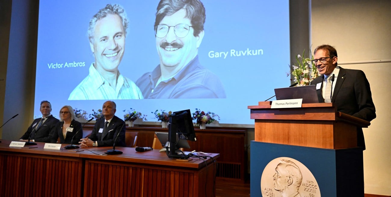 Premio Nobel de Medicina para Ambros y Ruvkun por su investigación sobre la regulación génica mediante microARN 