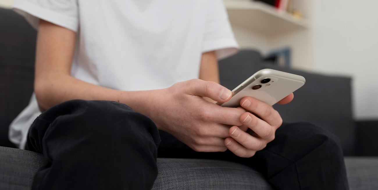 El impacto del uso excesivo de pantallas se discutió en la Legislatura de Santa Fe