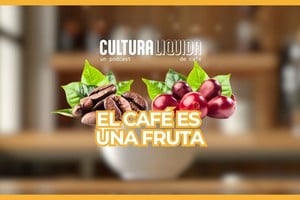 Ya podés escuchar el primer episodio de Cultura Líquida. Disponible en YouTube, Spotify y El Litoral.