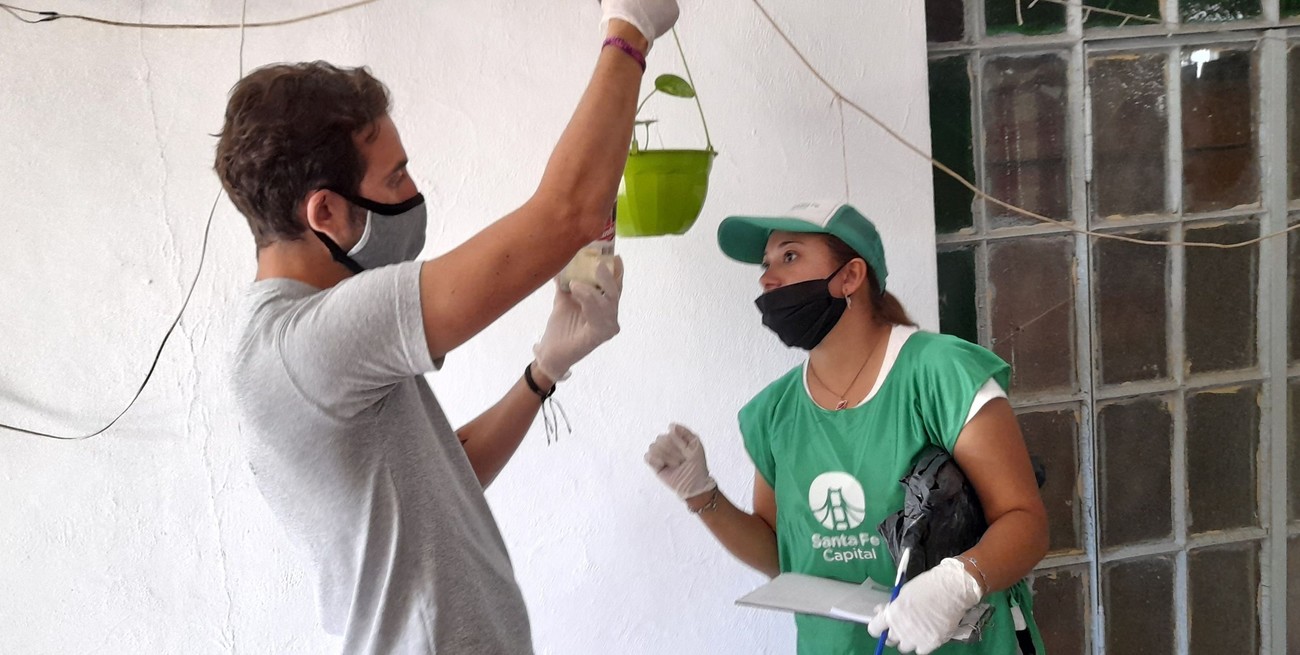 Dengue: "La probabilidad es que existan al menos la misma cantidad de casos que la temporada pasada"