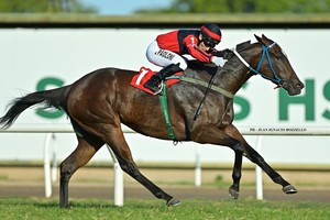 Paoloni, con la identificación en su ropa y uno de los tantos caballos que ha montado para ganar ya 175 veces.
Foto: Gentileza