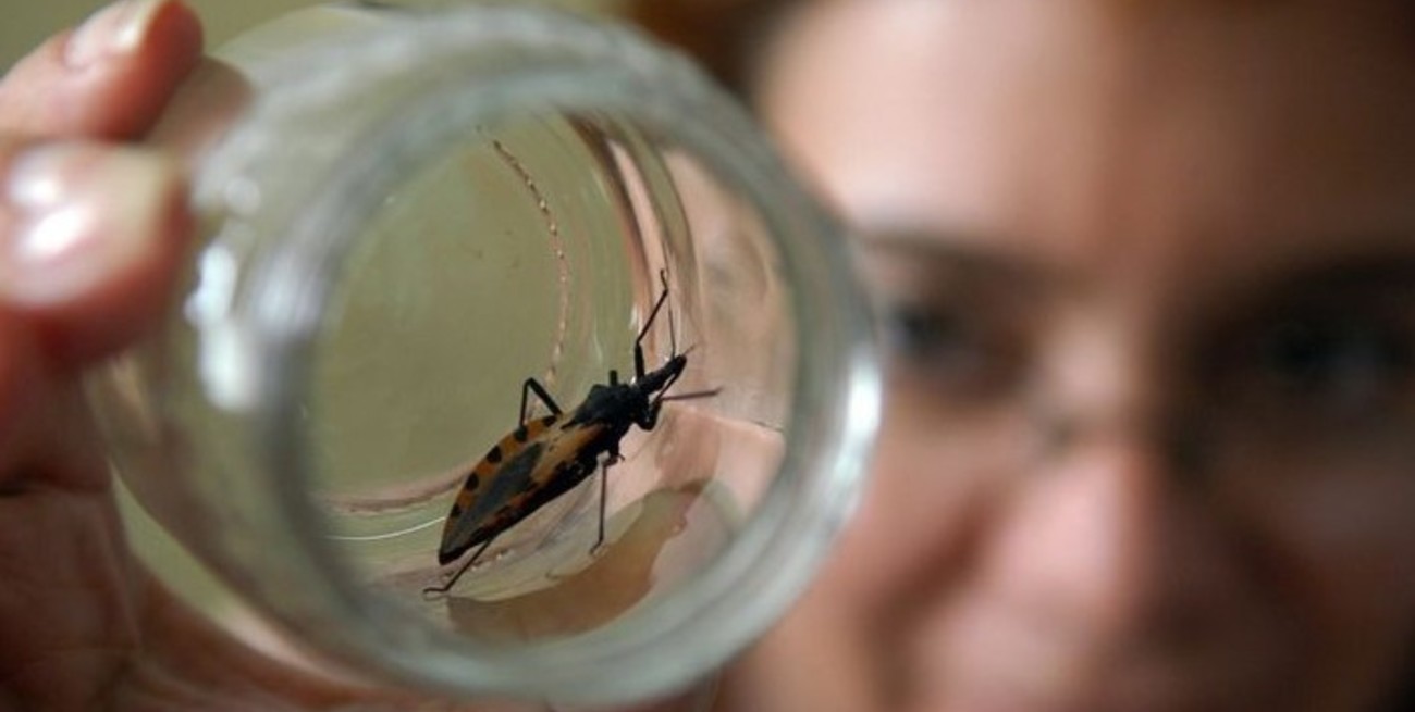 Sobre la vacuna contra el chagas