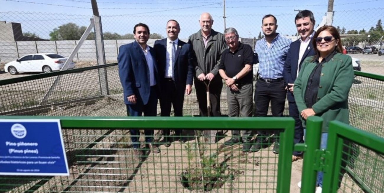En San Luis, plantaron un nieto del Pino Histórico de San Lorenzo