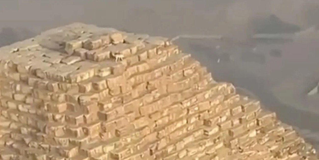 Registraron el momento en que un perro callejero escalaba una antigua pirámide en Egipto
