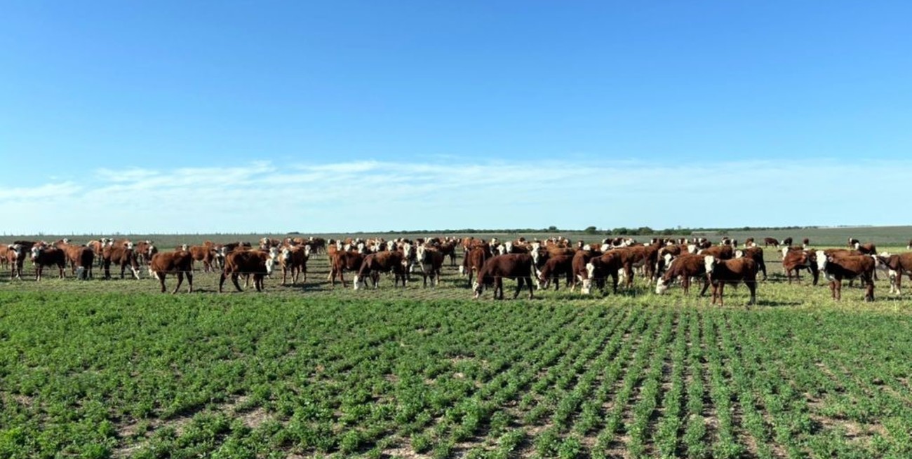 Respiran los productores de San Justo gracias a las últimas lluvias, pero los desafíos no terminan