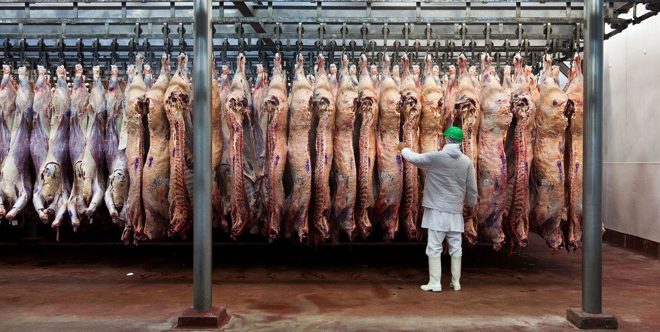 Aranceles de EE. UU. a Brasil: ¿Cómo impactarán las exportaciones de carne de Argentina?
