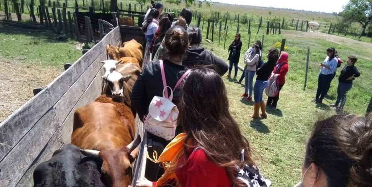 Acusaciones cruzadas y destino dispar para decenas de productores del Centro Experimental de Tacuarendí