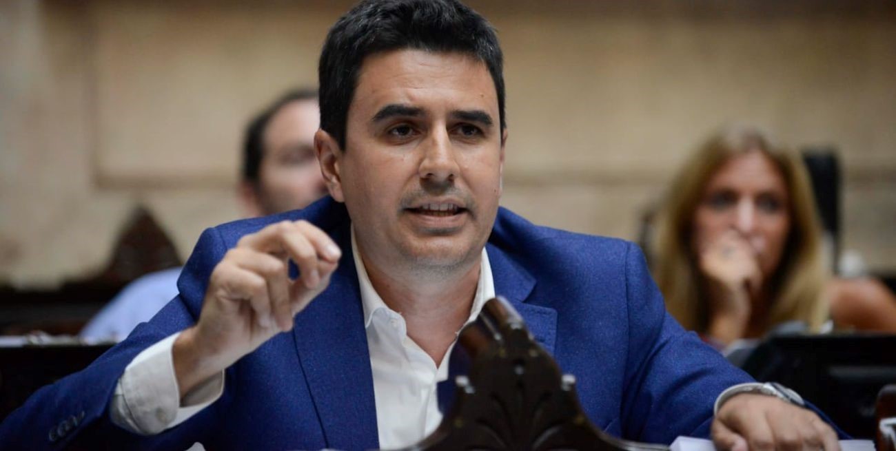 Toniolli: "El gobierno de Milei habilitó el viva la pepa en materia de transporte"