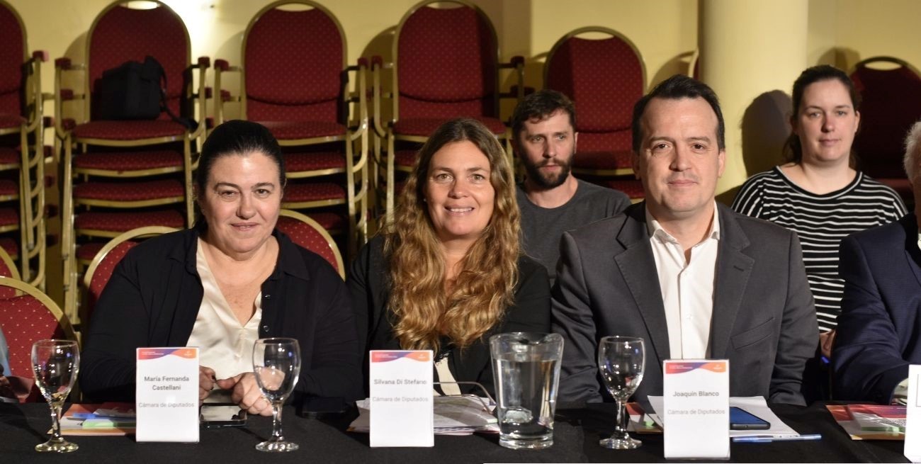 Di Stefano: "Trabajamos para que las políticas de niñez y adolescencia estén en agenda permanente"