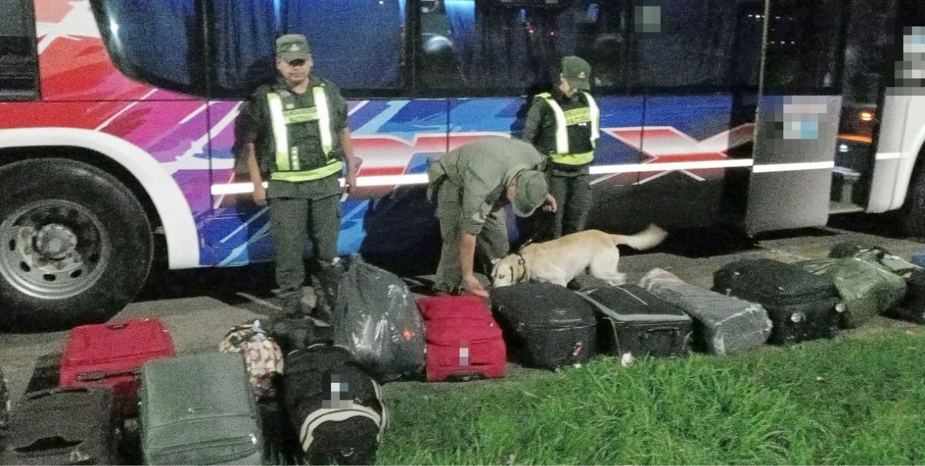 "Droga la exploradora": incautaron 5 kilos de cocaína en una mochila en la autopista Santa Fe - Rosario