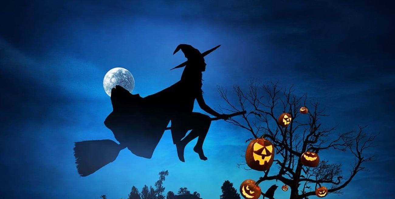 Todo lo que hay que saber sobre el cultivo que el campo aporta para que las brujas puedan volar