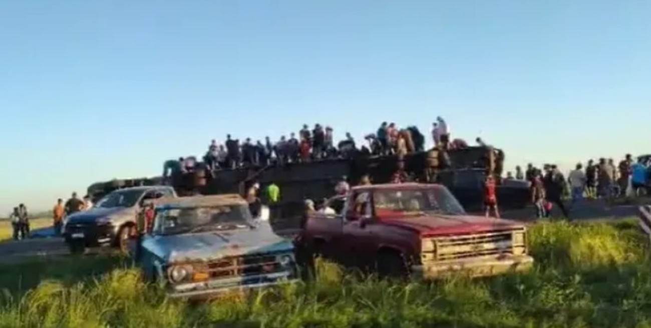 Operación "Piraña" en la Ruta 32: volcó un camión y le faenaron todos los animales