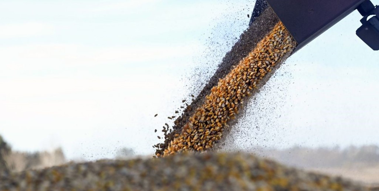 El Gobierno simplifica el RUCA: cuales son los cambios