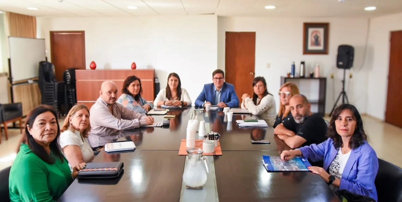 Plan 25: "A esta altura del año, no lo vemos conveniente", sostienen desde Amsafe