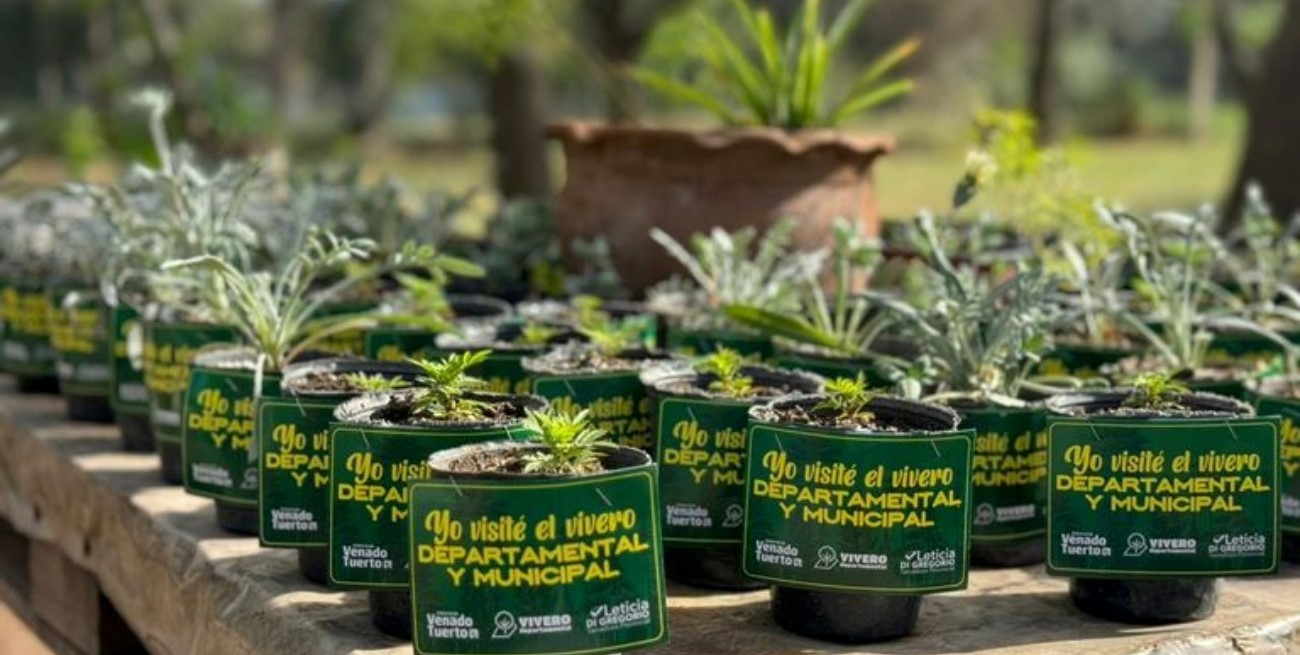 El vivero público impulsado por Di Gregorio entregó más de 8.800 plantas