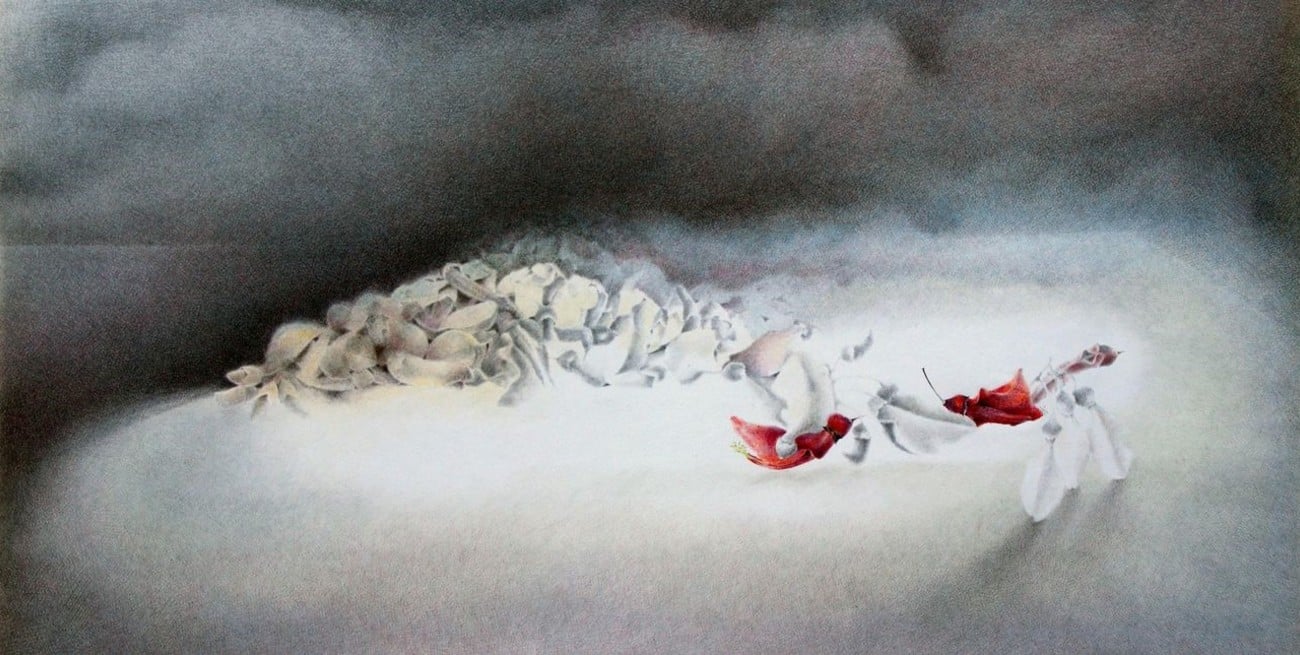 Nanzi Vallejo en 1977: el dibujo como viaje poético
