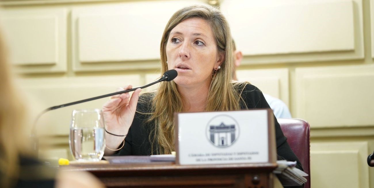 Armas Belavi: "No creemos que este proyecto logre un sistema judicial independiente"