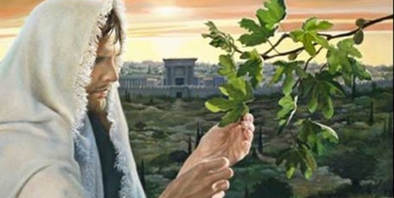 "Aprendan esta comparación tomada de la higuera"