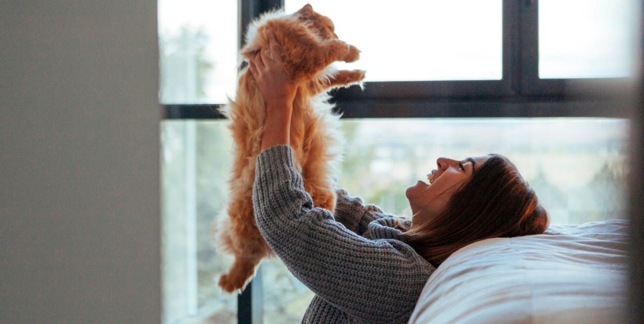 ¿Por qué los gatos muestran una preferencia por las mujeres como dueñas?