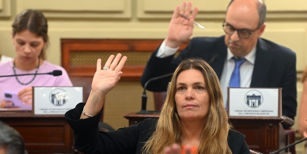 Di Stefano: "La reforma de la Constitución permitirá un Estado más eficiente, justo y transparente"