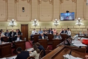 Un tema inesperado ocupó buena parte de la sesión de los senadores santafesinos: los planes del gobierno nacional de sacar a remate campos de experimentación del INTA y la reducción de recursos para sus programas de extensión y capacitación e investigación en favor del campo. Gentileza Cámara de Senadores