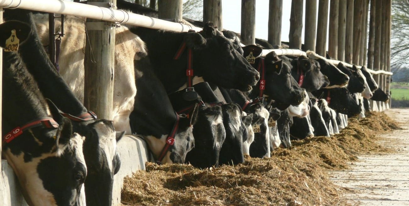 Con una vuelta a los orígenes, San Jerónimo Norte rinde homenaje a sus productores lácteos