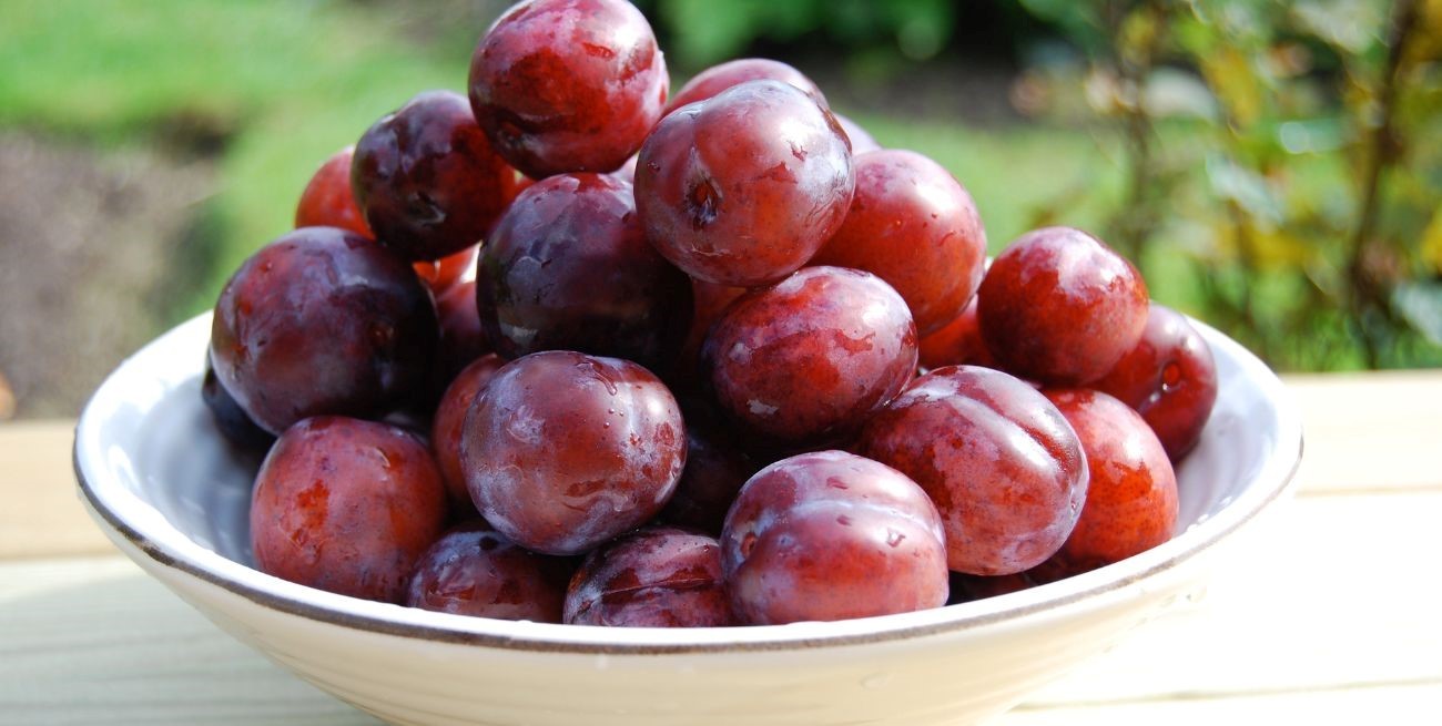 Ciruela, el superalimento esencial para la digestión y huesos fuertes
