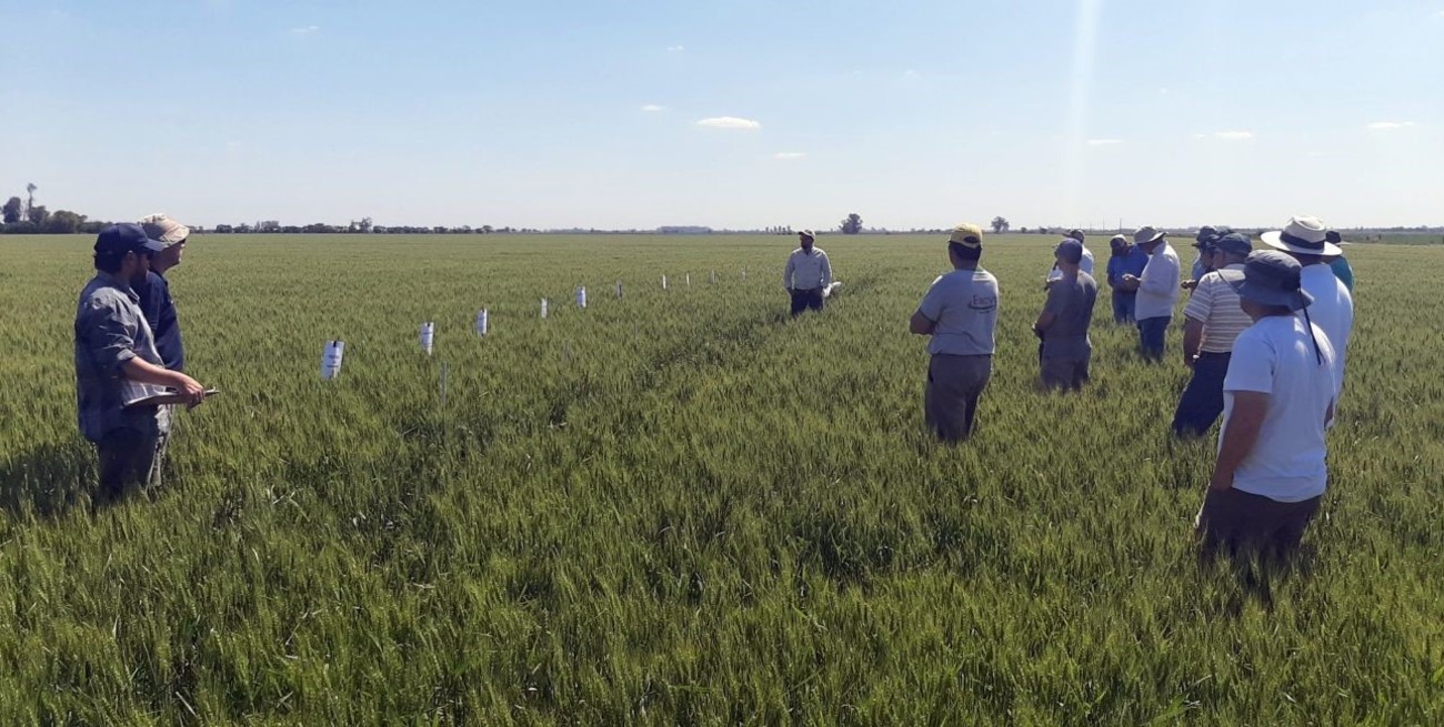 Expectativas altas a la espera de condiciones más favorables