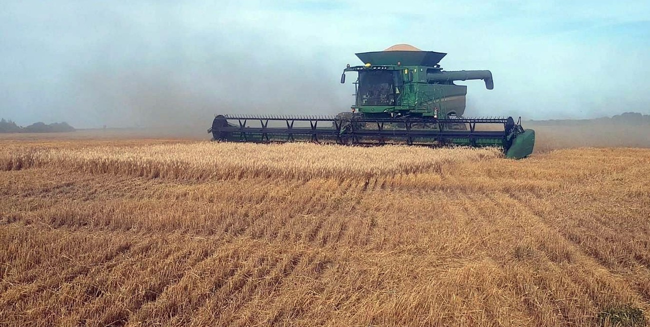 La recuperación de la agroindustria impulsa las exportaciones santafesinas