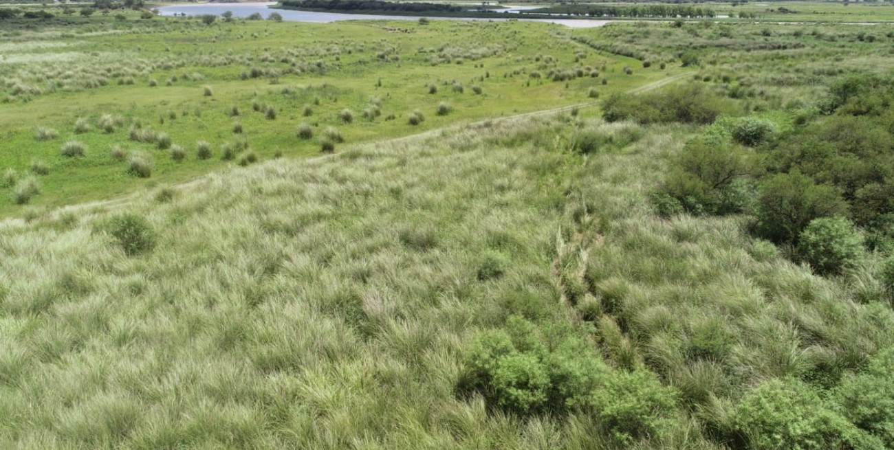 San Javier: crearon el consejo consultivo de la reserva municipal "Isla La Rinconada"