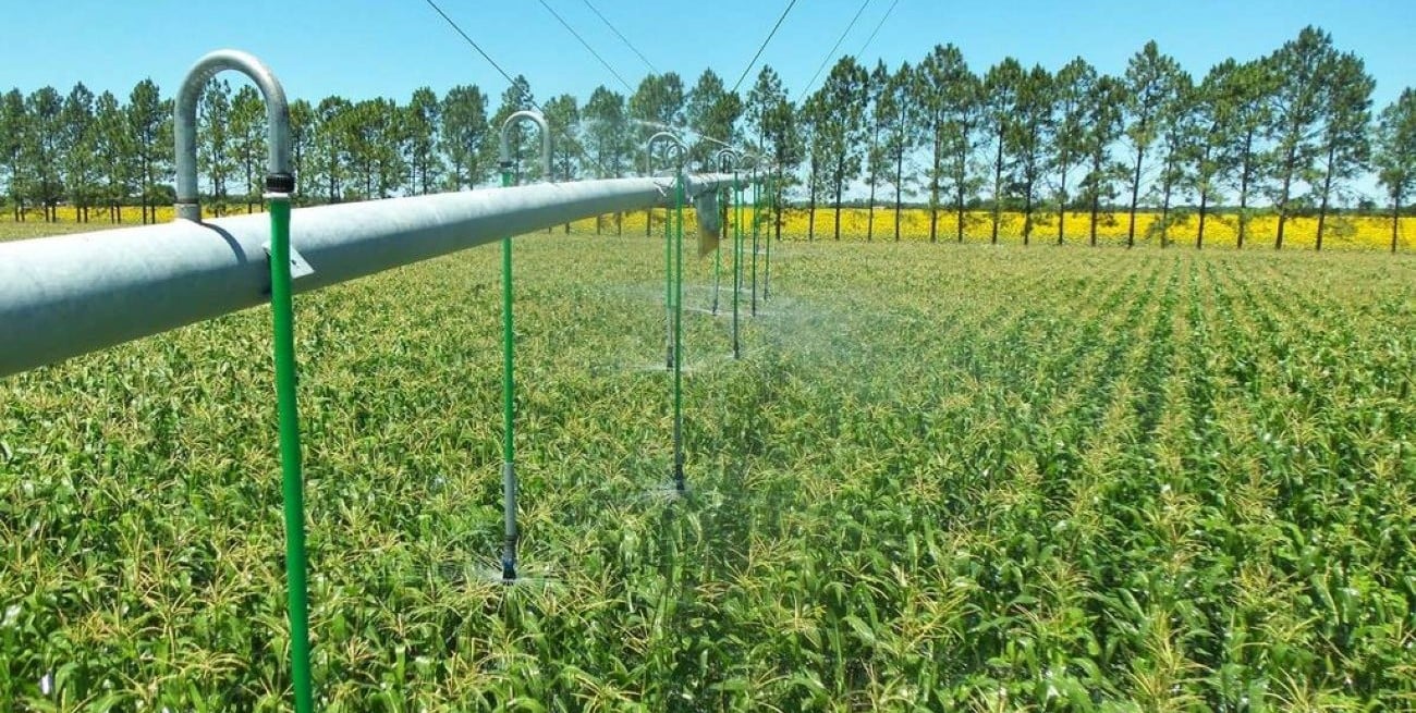 Clamor para que el riego rural tenga partidas y rango de política de Estado
