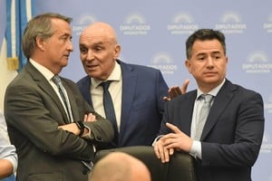 Espert en la comisión de Presupuesto junto a Mayoraz y Bornoroni.