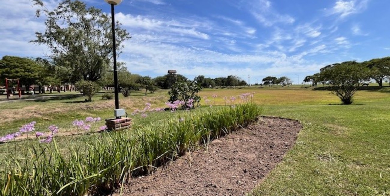 Las actividades por vacaciones de invierno se trasladan a los espacios verdes de Humboldt