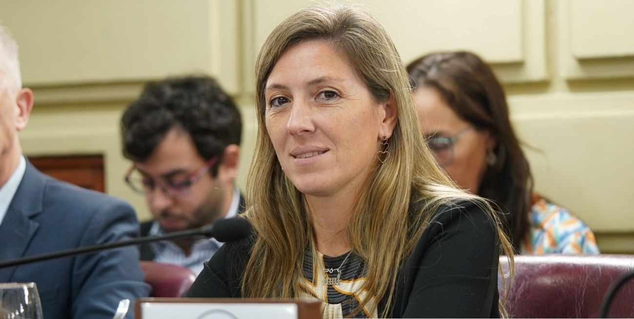 Armas Belavi no acompaño la ley tributaria por considerarla abusiva