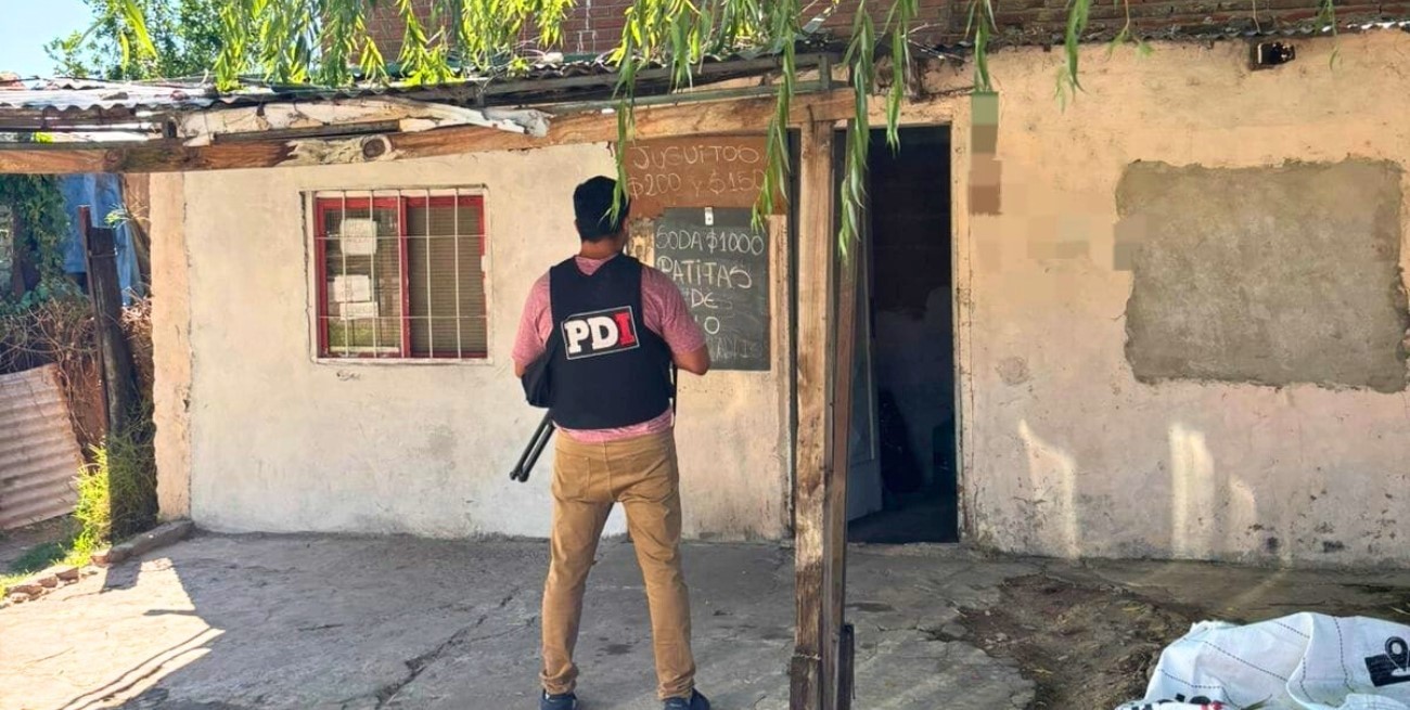 Centenario: arrestaron a otra joven de la megabanda de asaltantes santafesinos y cordobeses