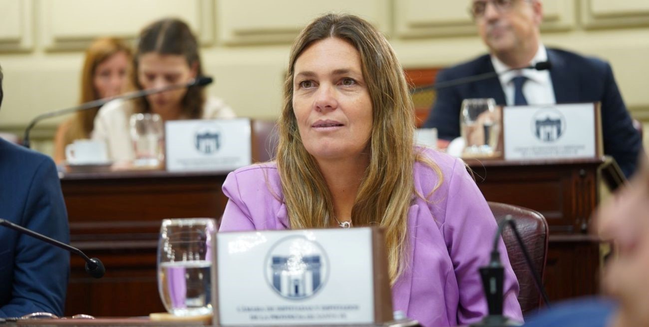 Di Stefano: "Las leyes sancionadas en 2024 son respuestas directas a los problemas que nos afectan como sociedad"