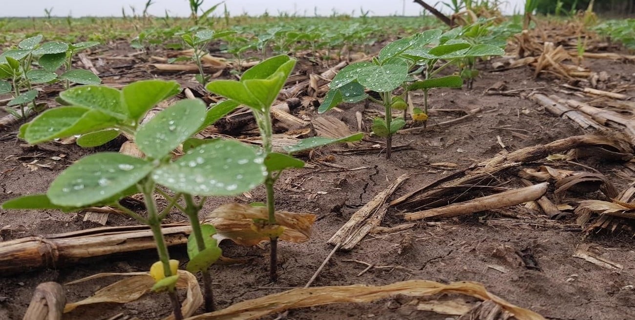 El clima marcará extremos térmicos y precipitaciones irregulares durante la próxima semana