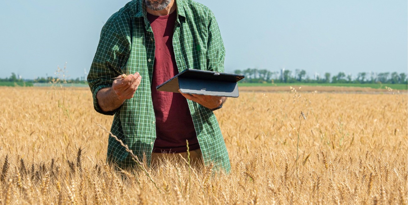 La tecnología blockchain llega al campo de la mano de Banco Santa Fe y Agrotoken