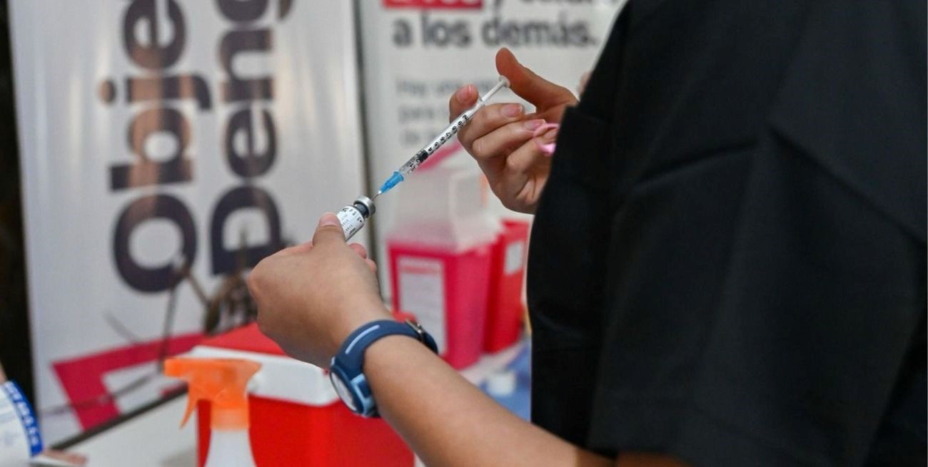 Balance 2024: un desafío sanitario llamado dengue

