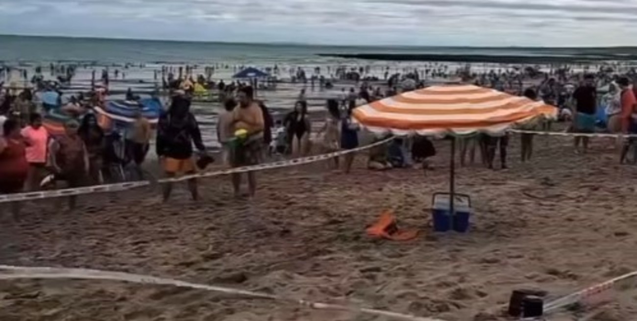 Video: una invasión de abejas fue la atracción de Año Nuevo en una playa turística de Las Grutas