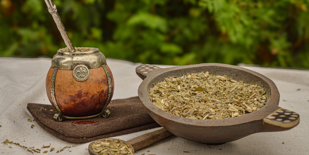 Descifraron el ADN de la yerba: podría "diseñarse" un mate que no genere acidez