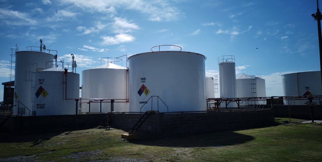 El Gobierno fijó un nuevo precio del biodiésel destinado al corte con gas oil
