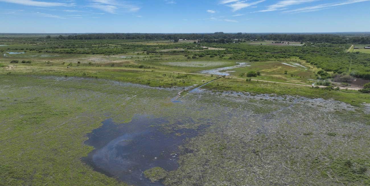 Respira la Setúbal: limpiaron el basural de Rincón y el desafío es que no vuelva