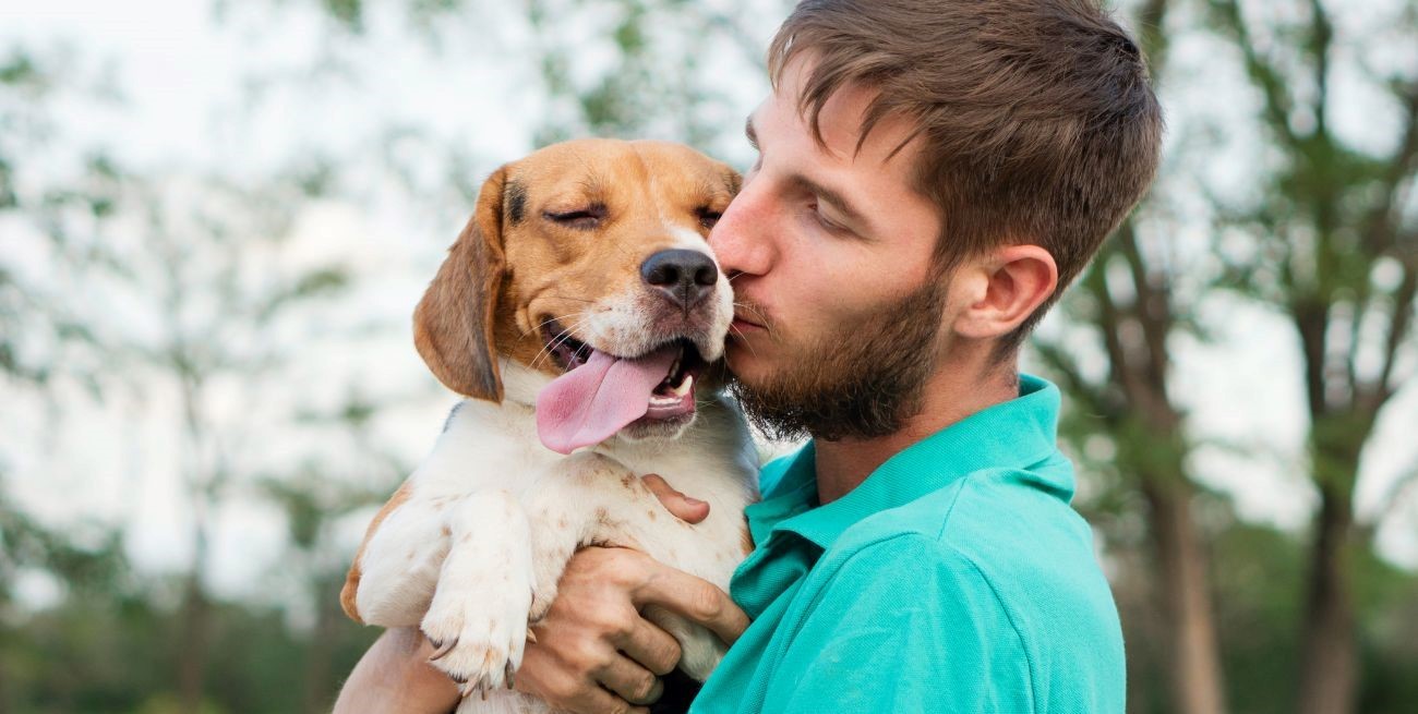 ¿Cómo los perros identifican a sus dueños sin necesitar solo el olfato?