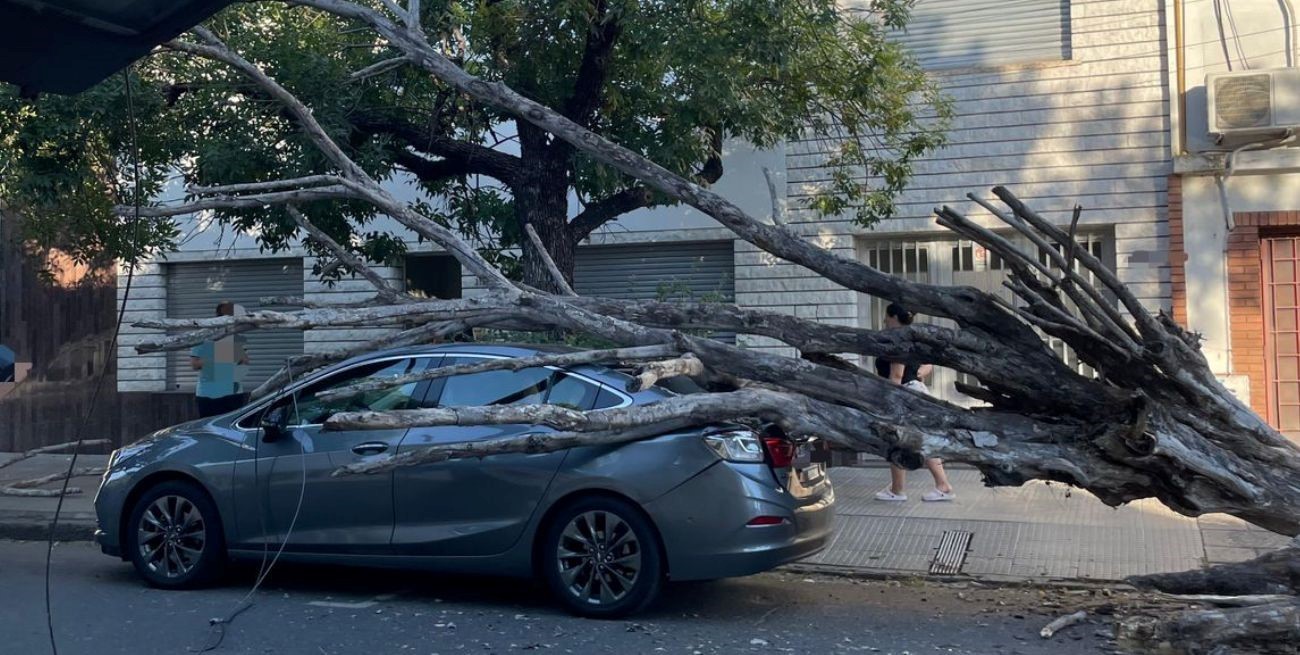 Rescataron a un hombre de 72 años tras caer un árbol sobre un vehículo